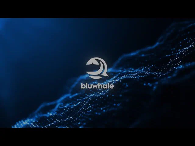 Preview BLUWHALE / 01