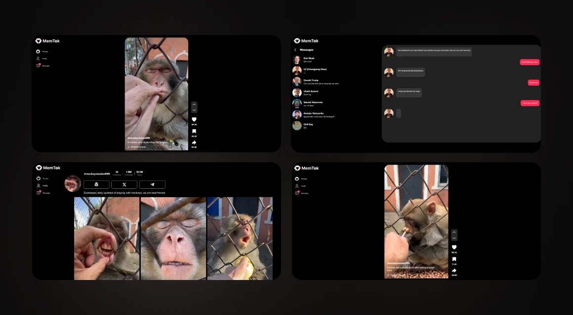 Project preview TikTok Monke