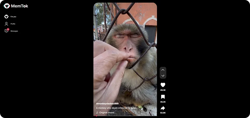 MemTok Main Vertical Video Tape