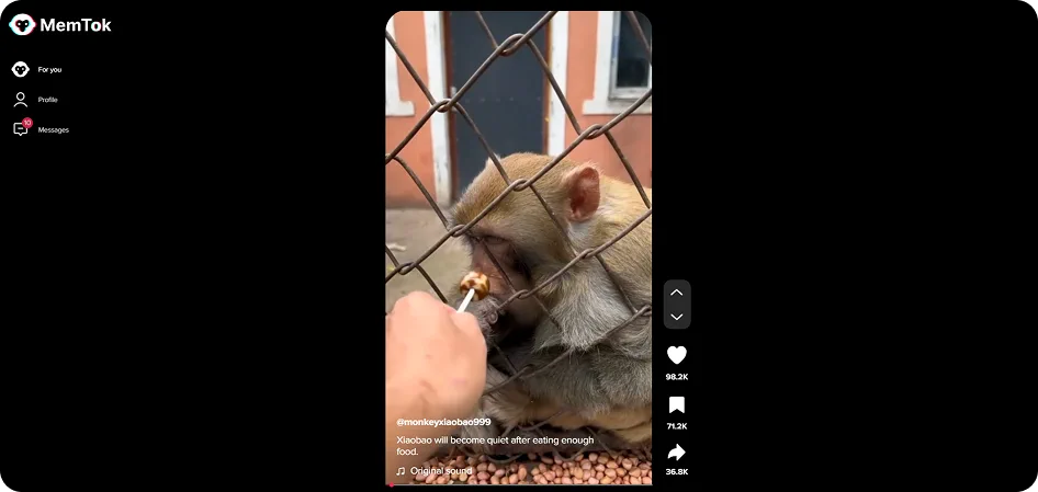 Second state of vertical video tape MemTok