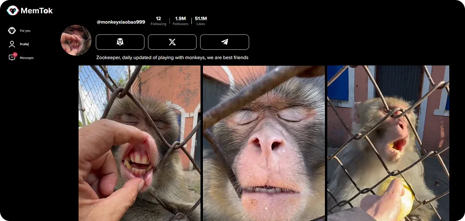 MemTok user profile with reel grid